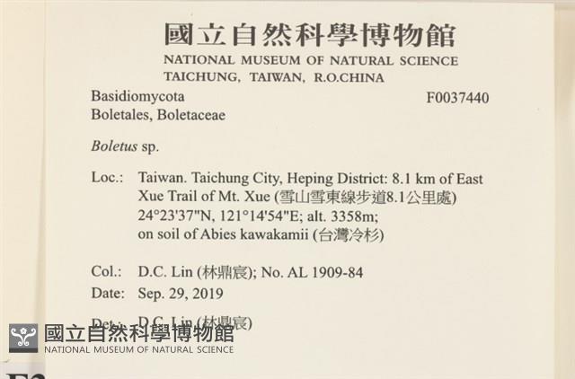 登錄號:F0037440藏品圖，第2張