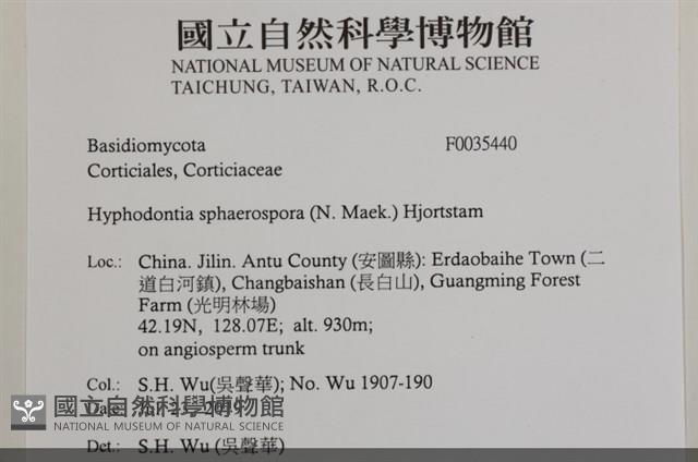 登錄號:F0035440藏品圖，第2張