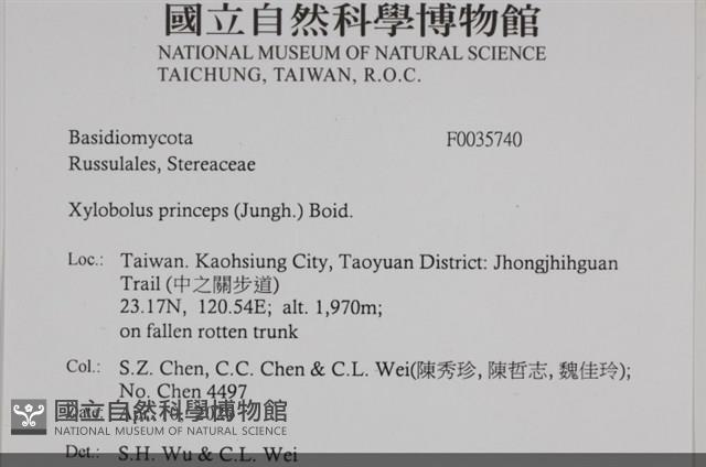 登錄號:F0035740藏品圖，第2張