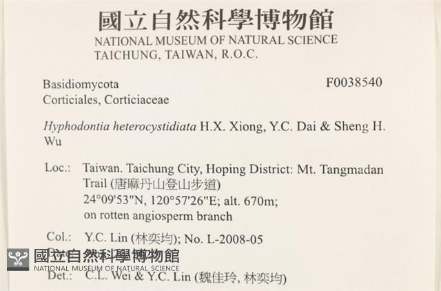 登錄號:F0038540藏品圖，第2張