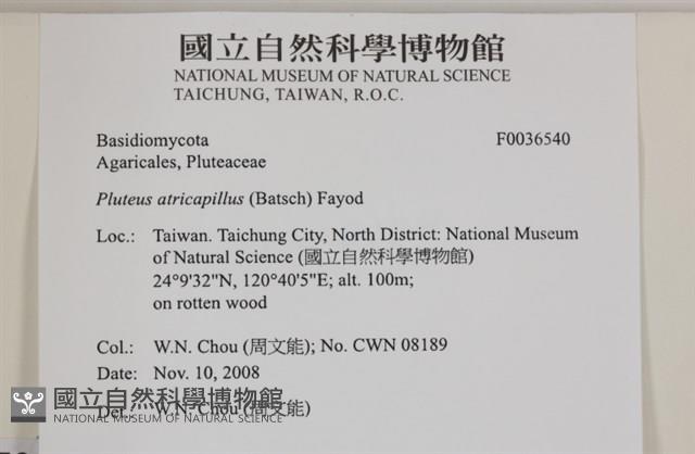 登錄號:F0036540藏品圖，第2張