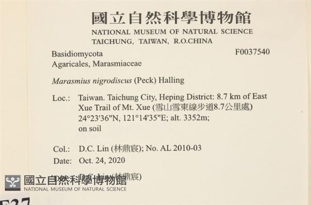 登錄號:F0037540藏品圖，第2張