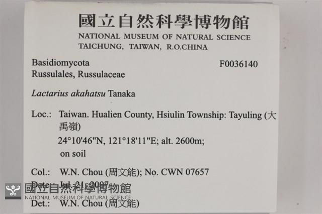 登錄號:F0036140藏品圖，第2張