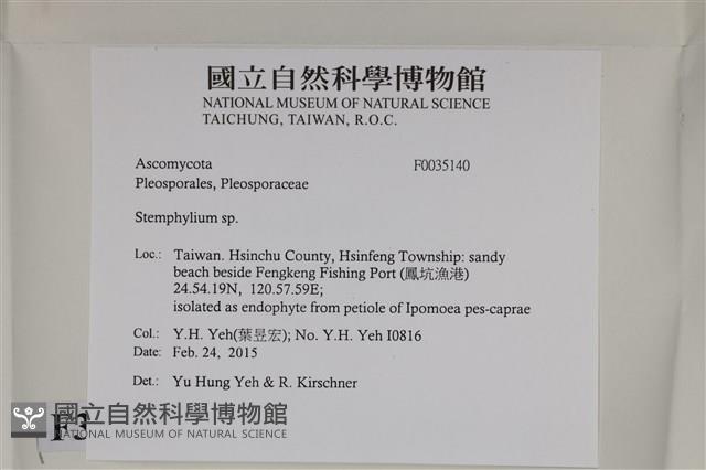 登錄號:F0035140藏品圖，第2張