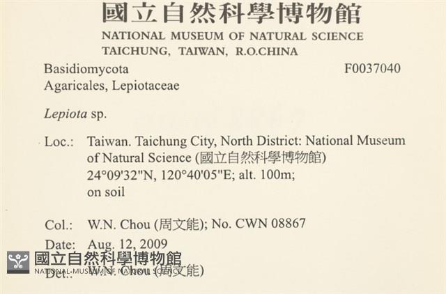 登錄號:F0037040藏品圖，第2張