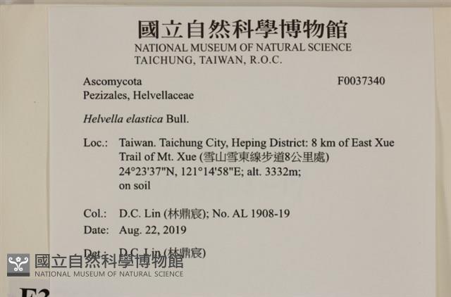 登錄號:F0037340藏品圖，第2張