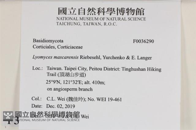 登錄號:F0036290藏品圖，第2張