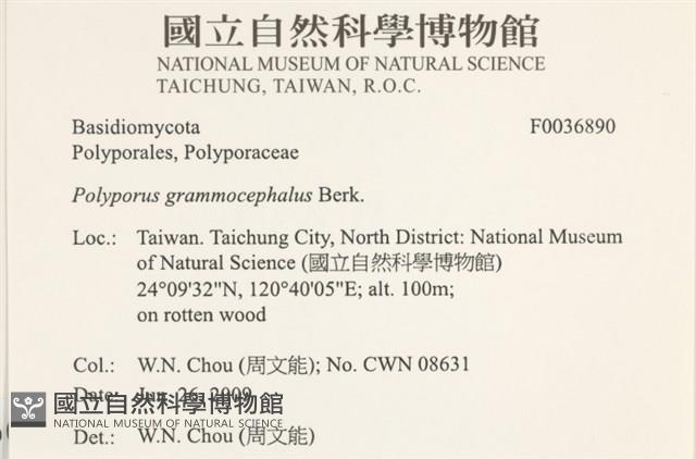 登錄號:F0036890藏品圖，第2張
