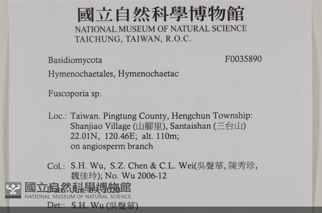 登錄號:F0035890藏品圖，第2張