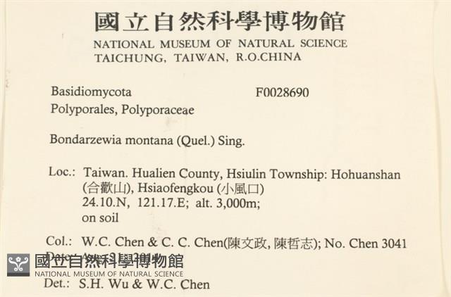 登錄號:F0028690藏品圖，第2張