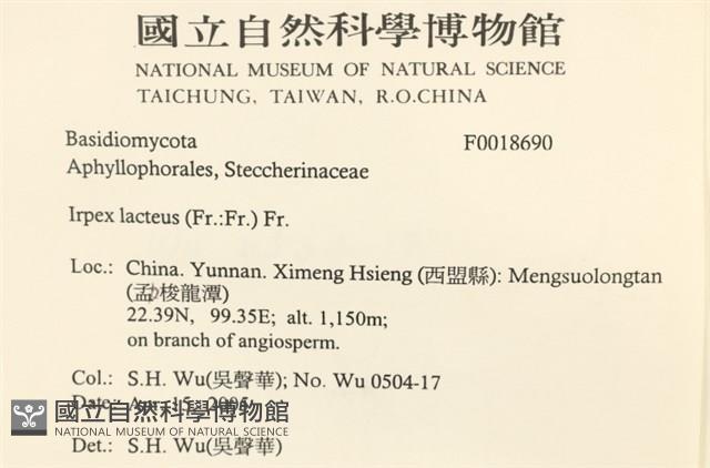 館號:F0018690藏品圖，第2張