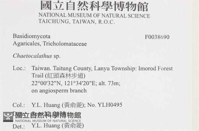 登錄號:F0038690藏品圖，第2張