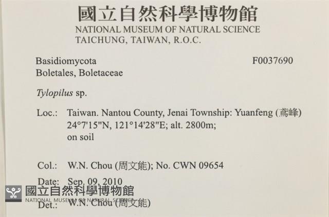 登錄號:F0037690藏品圖，第2張