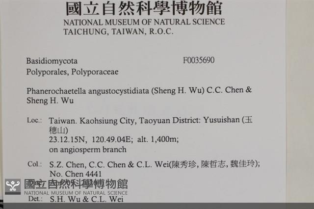 登錄號:F0035690藏品圖，第2張
