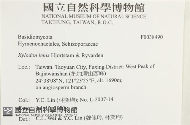 登錄號:F0038490藏品圖，第2張