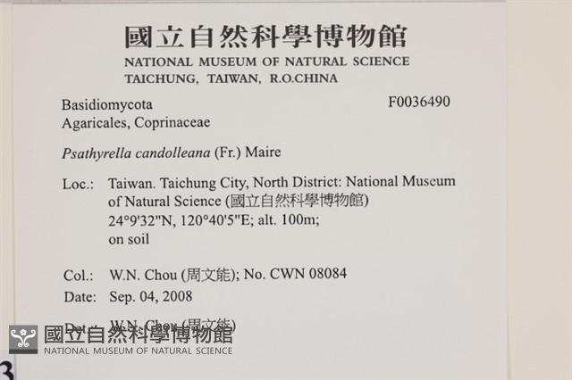 登錄號:F0036490藏品圖，第2張