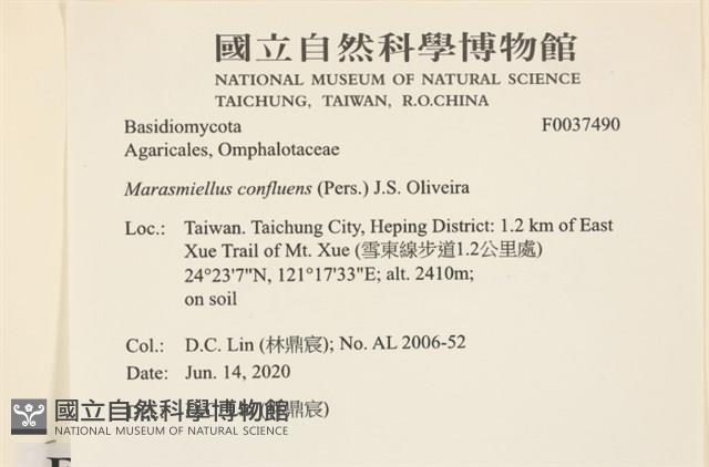 登錄號:F0037490藏品圖，第1張
