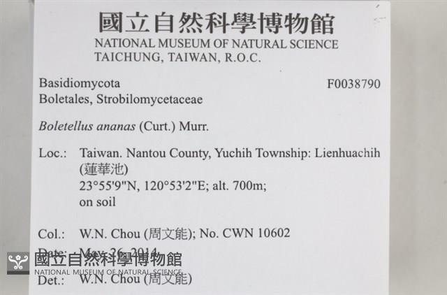 登錄號:F0038790藏品圖，第2張