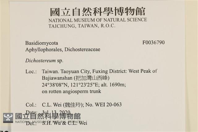 登錄號:F0036790藏品圖，第2張