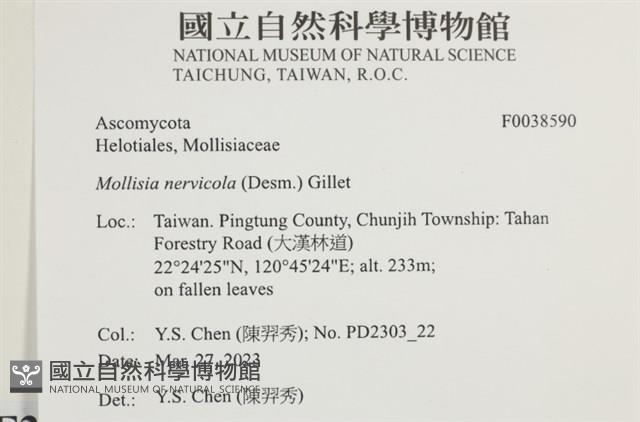 登錄號:F0038590藏品圖，第2張