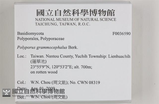 登錄號:F0036590藏品圖，第2張