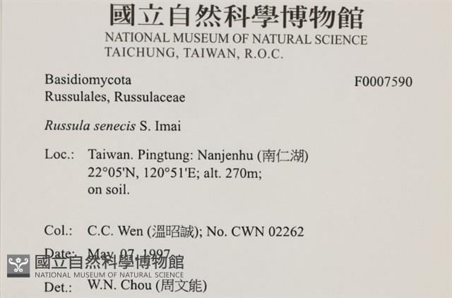 登錄號:F0007590藏品圖，第5張