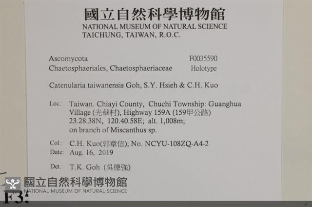 登錄號:F0035590藏品圖，第2張