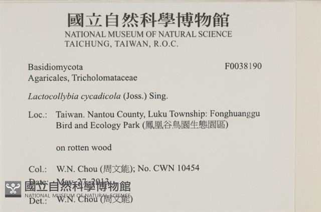 登錄號:F0038190藏品圖，第2張