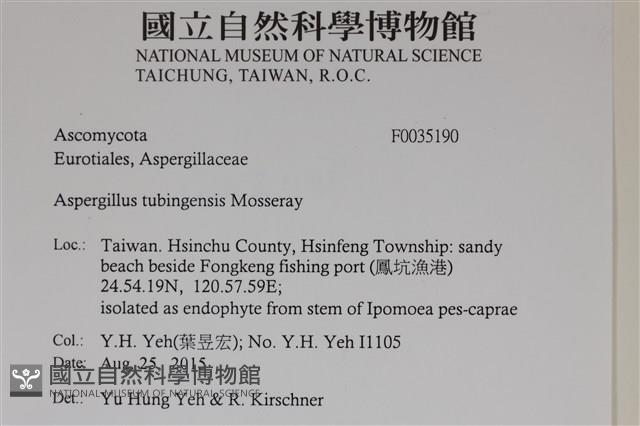 登錄號:F0035190藏品圖，第2張