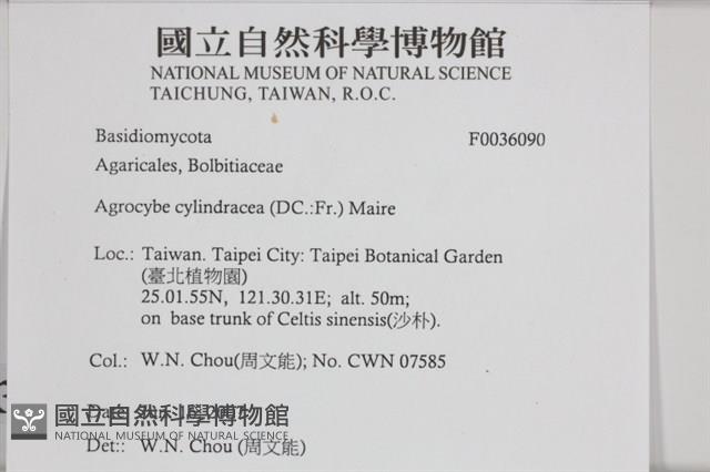 登錄號:F0036090藏品圖，第2張