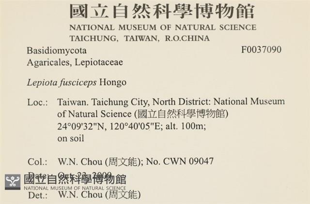 登錄號:F0037090藏品圖，第2張