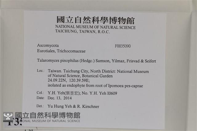 登錄號:F0035090藏品圖，第2張