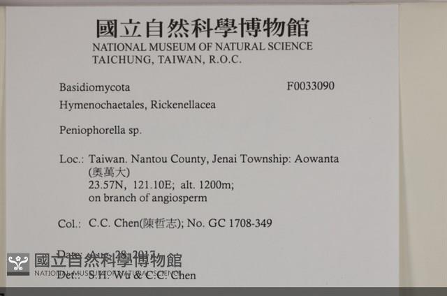 擬筍殼菌屬藏品圖，第3張