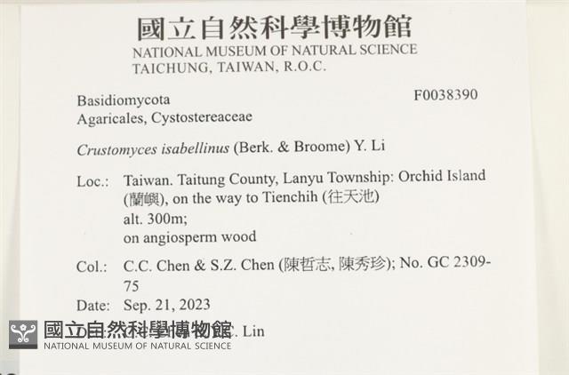 登錄號:F0038390藏品圖，第2張