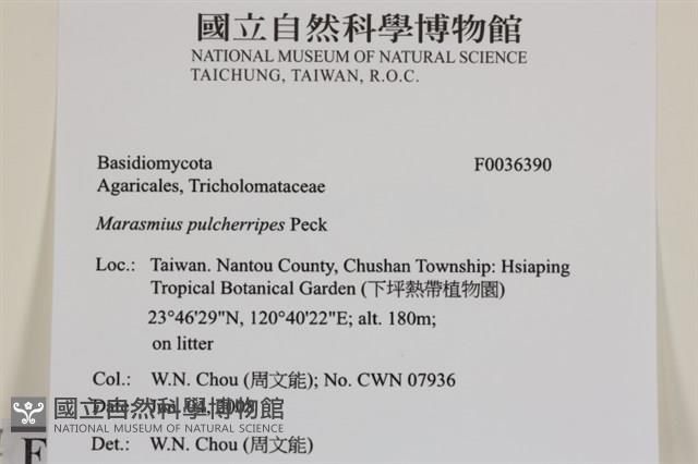 登錄號:F0036390藏品圖，第2張