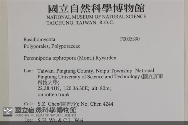 登錄號:F0035390藏品圖，第2張