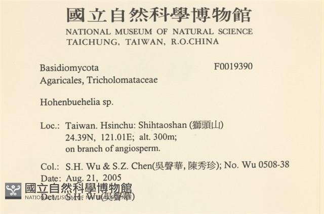 登錄號:F0019390藏品圖，第2張