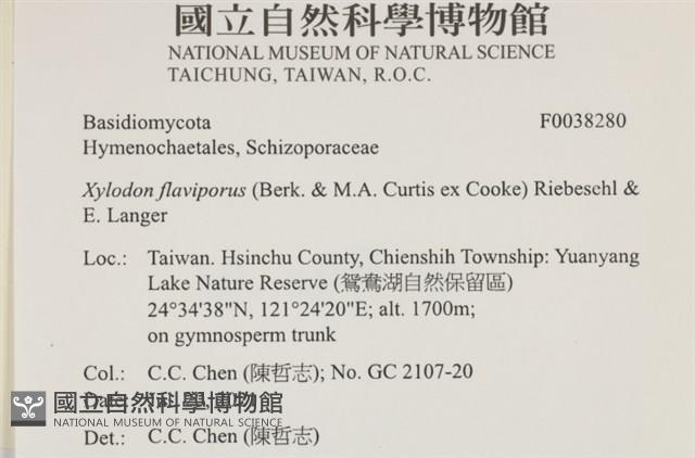 登錄號:F0038280藏品圖，第2張