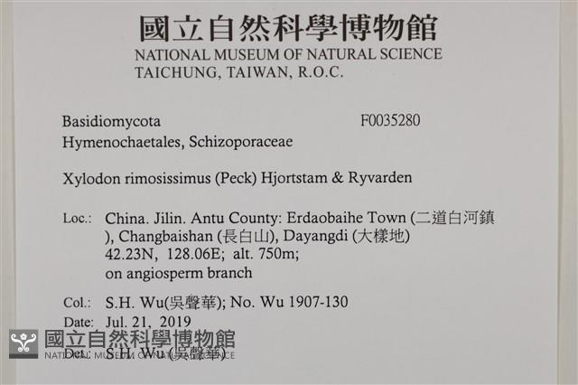 登錄號:F0035280藏品圖，第2張