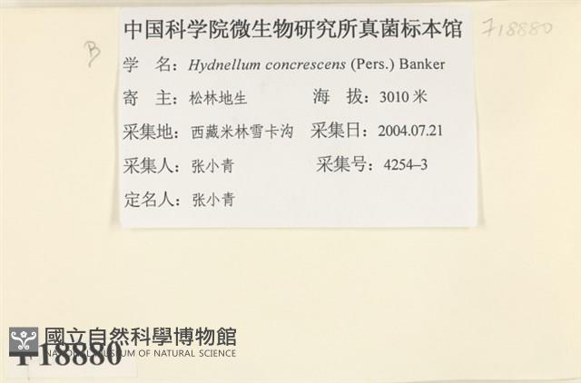 館號:F0018880藏品圖，第2張