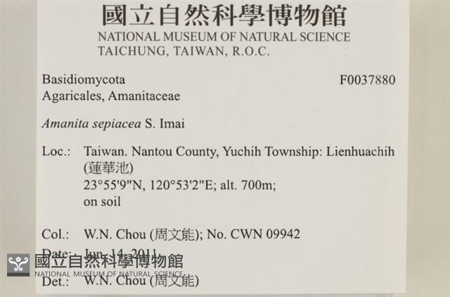 登錄號:F0037880藏品圖，第2張