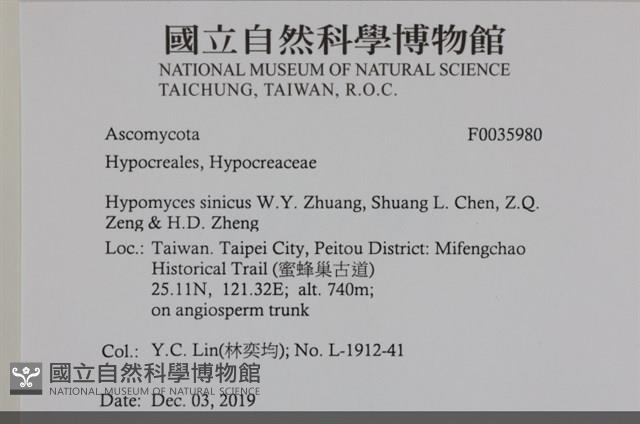 登錄號:F0035980藏品圖，第2張