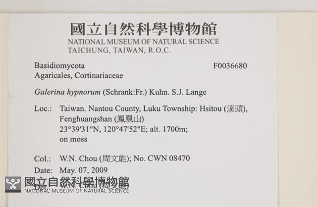 登錄號:F0036680藏品圖，第2張