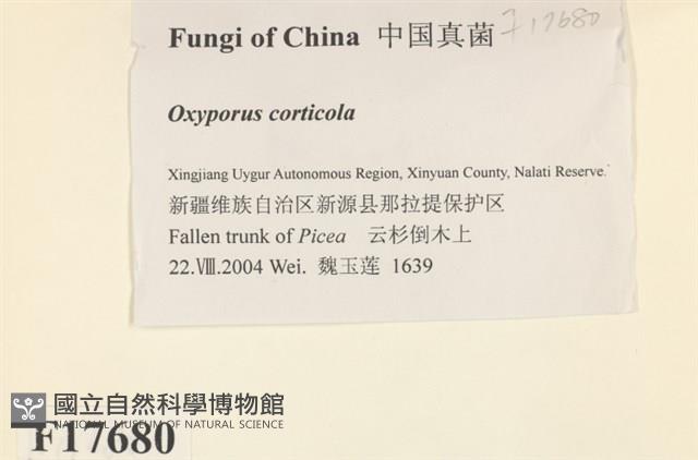 登錄號:F0017680藏品圖，第2張