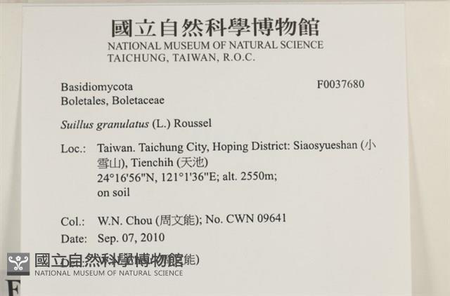 登錄號:F0037680藏品圖，第2張