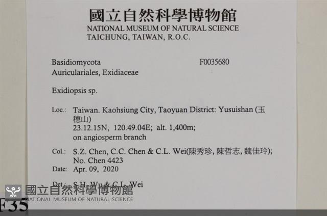 登錄號:F0035680藏品圖，第2張