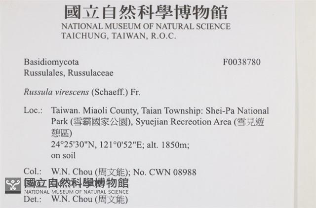 登錄號:F0038780藏品圖，第2張