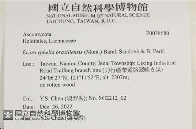 登錄號:F0038580藏品圖，第2張