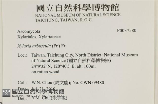 登錄號:F0037580藏品圖，第2張