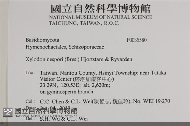 登錄號:F0035580藏品圖，第2張